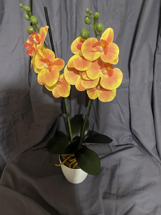Дизайн! Гелеві та латексні орхідеї photo 3