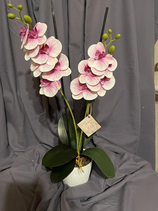 Дизайн! Гелеві та латексні орхідеї photo 4