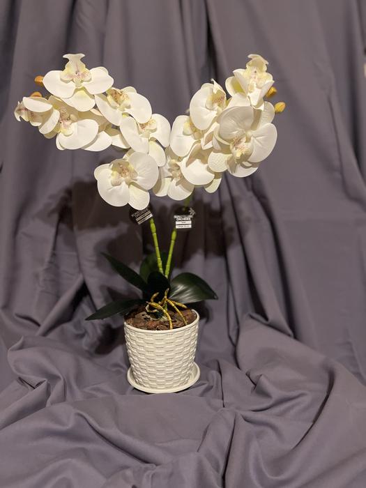 Дизайн! Гелеві та латексні орхідеї photo 7