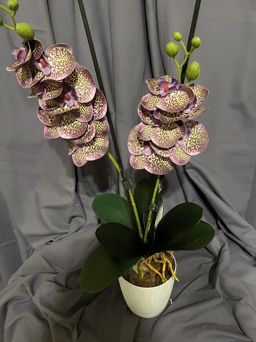 Дизайн! Гелеві та латексні орхідеї photo 8