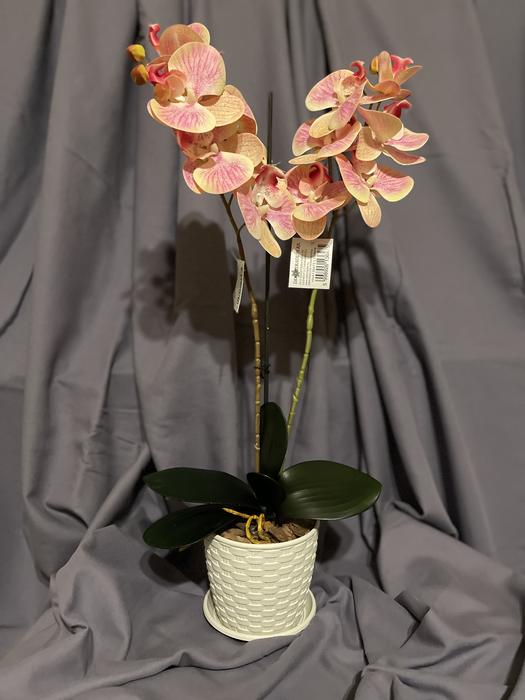 Дизайн! Гелеві та латексні орхідеї photo 9