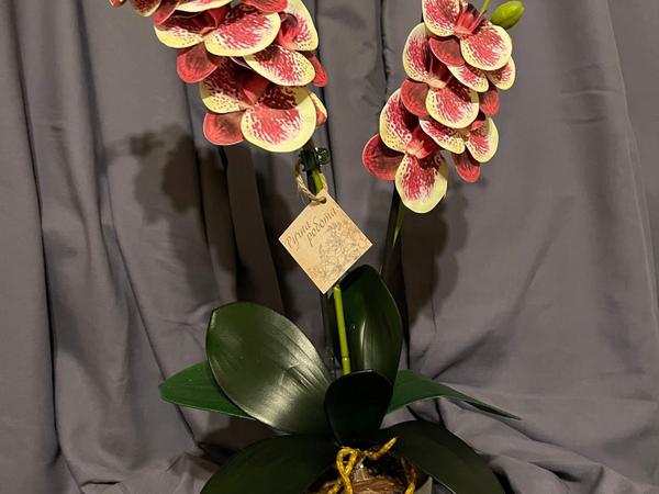 Дизайн! Гелеві та латексні орхідеї photo