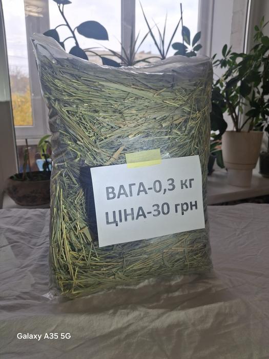 Сіно для гризунів photo 1