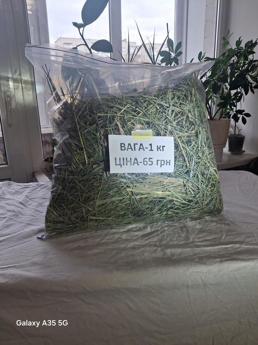 Сіно для гризунів photo 3