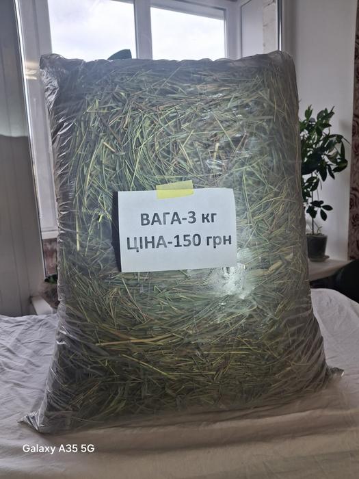 Сіно для гризунів photo 5