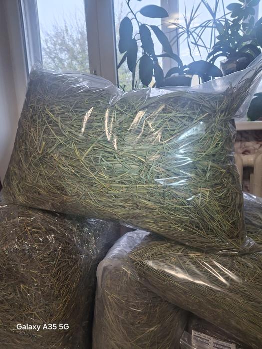 Сіно для гризунів photo 6