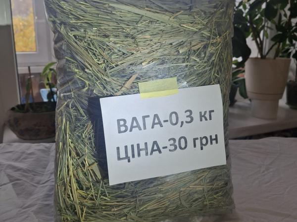 Сіно для гризунів photo