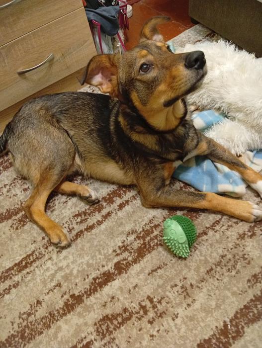 Тварин photo 1