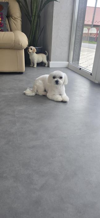 Реклама фото 2