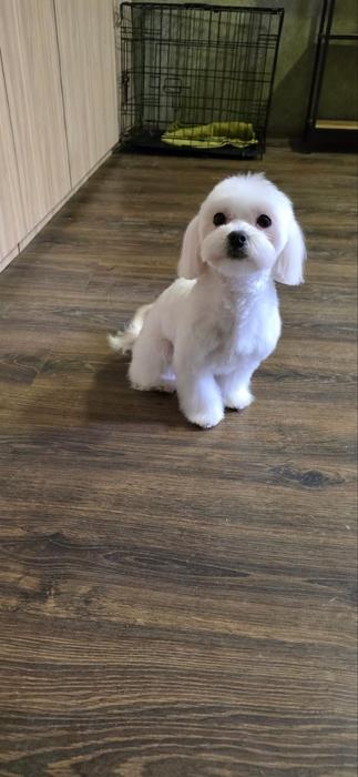 Реклама фото 3