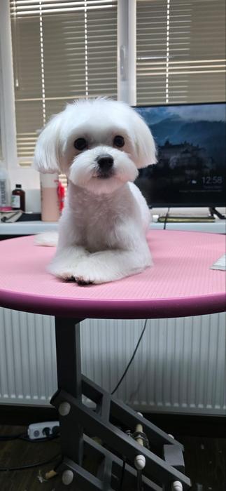 Реклама фото 4