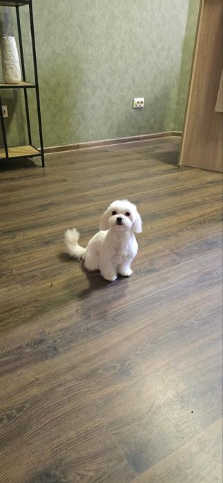 Реклама фото 5