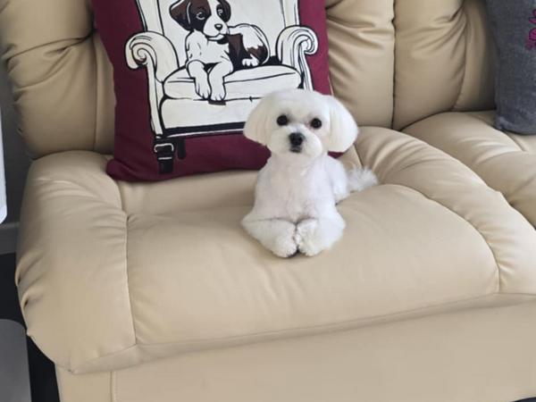 Реклама фото