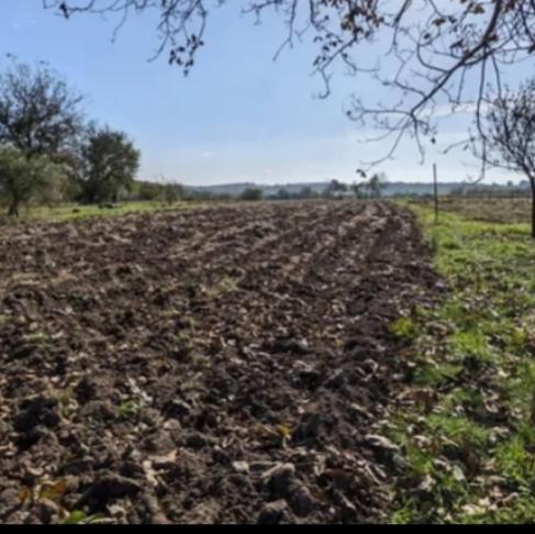 Продам земельну ділянку 19соток Бохоники фото 1