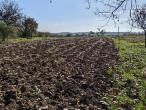 Продам земельну ділянку 19соток Бохоники фото