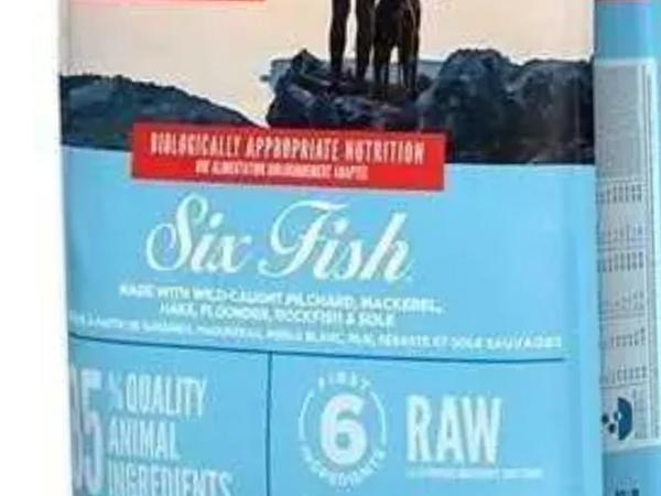 Сухой корм для собак photo