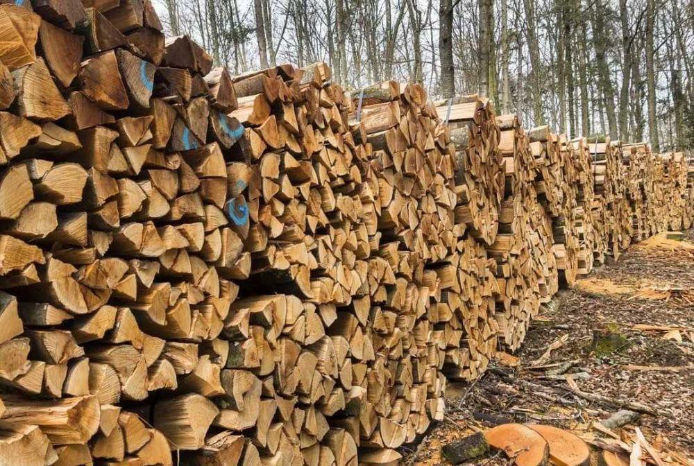 ДРОВА(САМА КРАЩА ЦІНА) фото 1