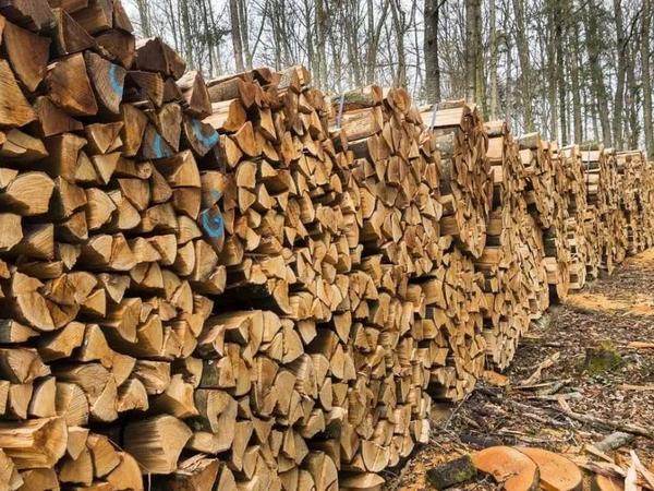 ДРОВА(САМА КРАЩА ЦІНА) фото