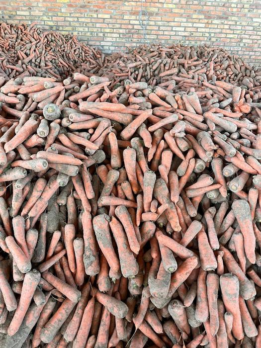 Овочі фото 3