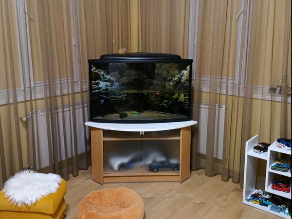 Акваріум кутовий з тумбою фото