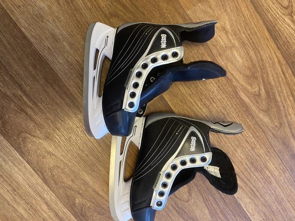 Коньки фото