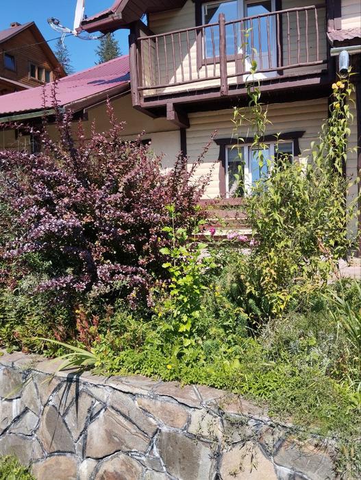 Гостиний двір у Ангеліни photo 2