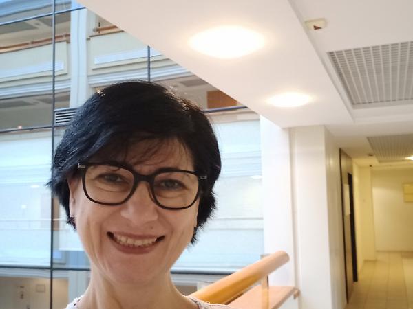 Підготовка дітей до школи. Онлайн - заняття фото