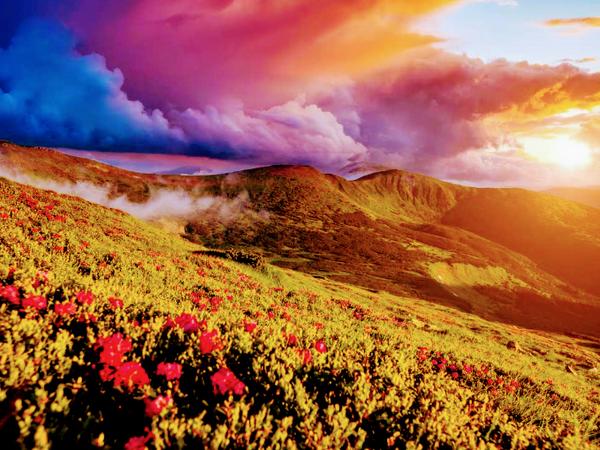 Рассвет photo