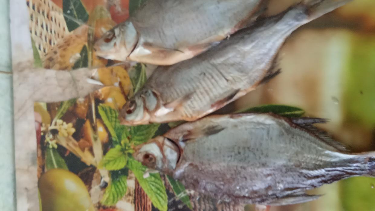 Продукти харчування photo 2