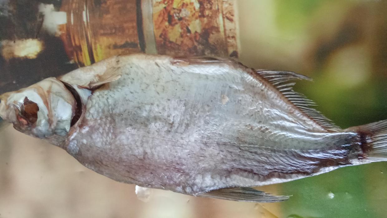 Продукти харчування photo 3