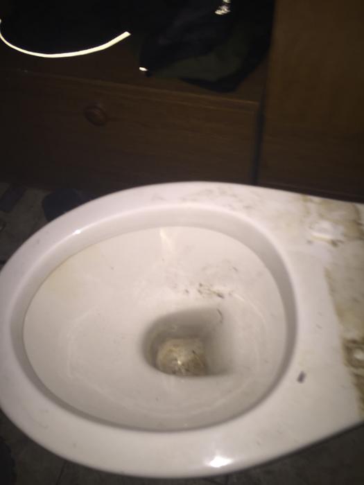 Унітаз фото 2