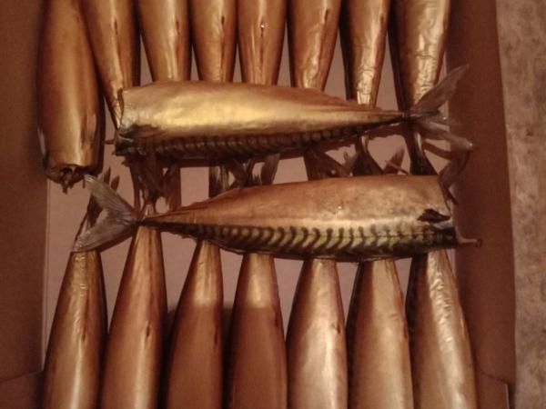 Скумбрия холодного копчения photo