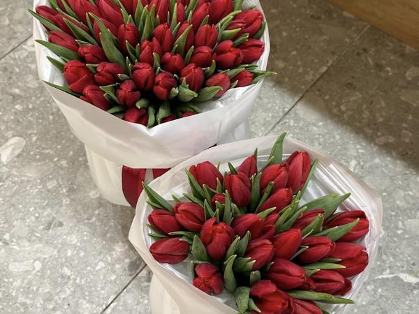 Квіти , тюльпани , 14 лютого , день закоханих photo