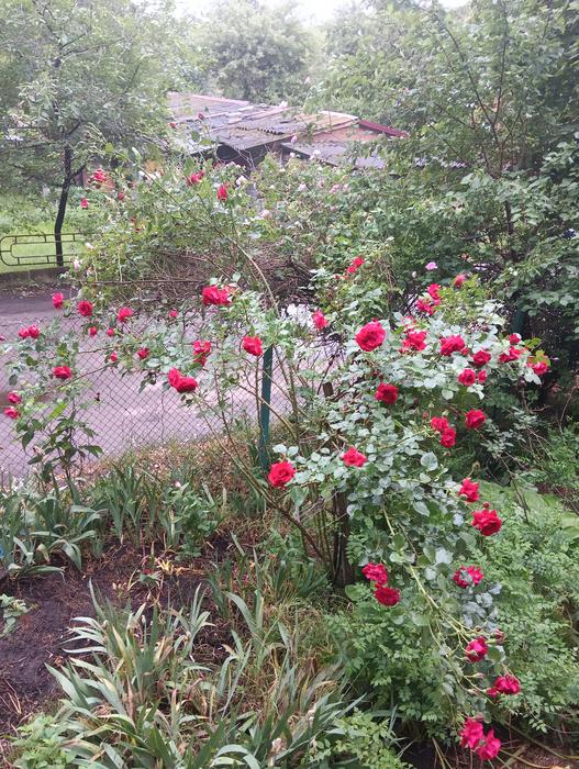 Продам дачу photo 3