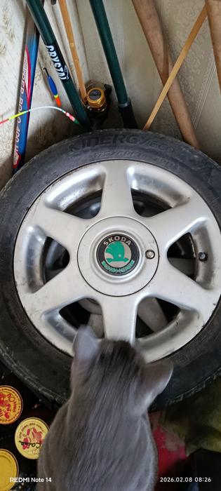 Літня резина на тітанах фото 2