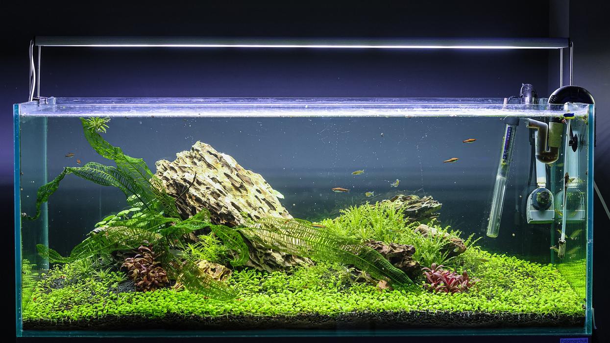 Акваріум на замовлення photo 2