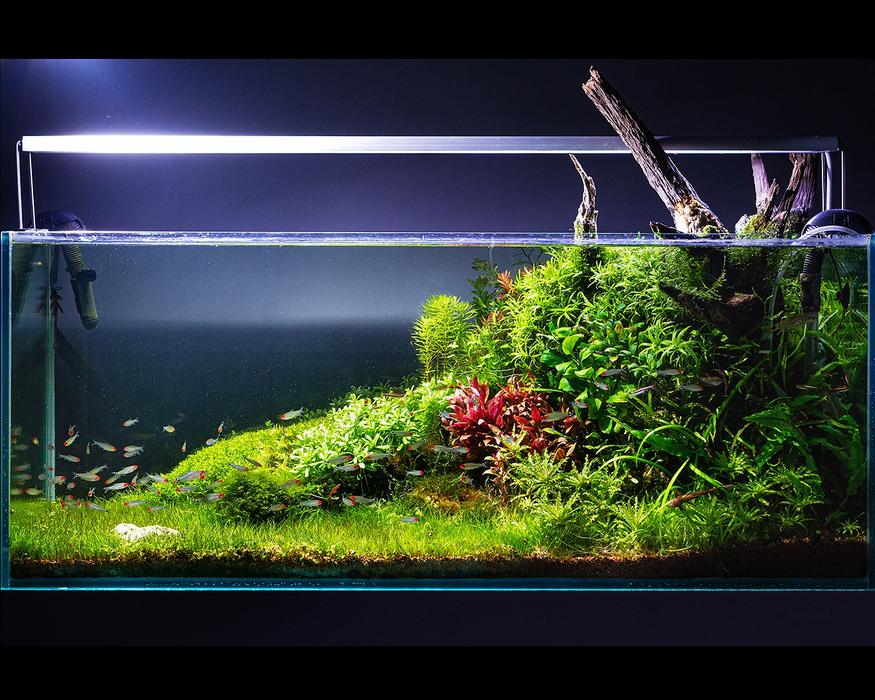 Акваріум на замовлення photo 3