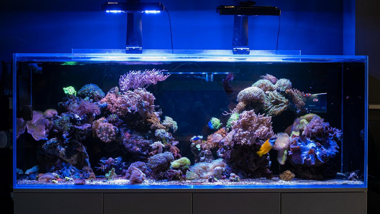 Акваріум на замовлення photo 5