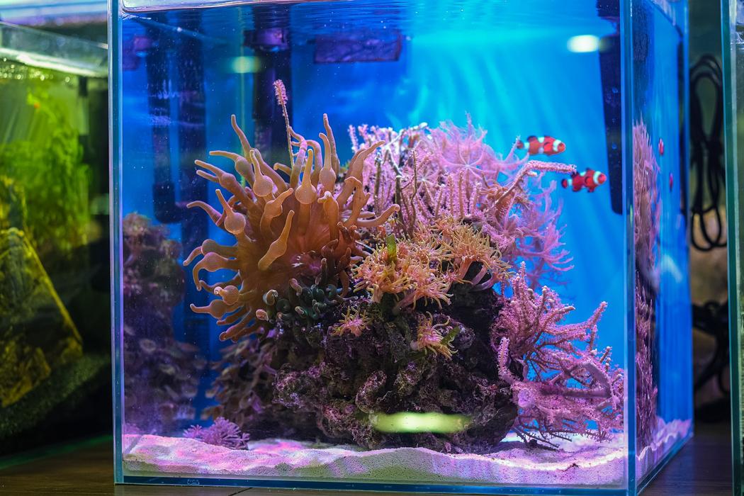 Акваріум на замовлення photo 6