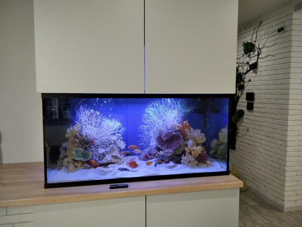 Акваріум на замовлення photo