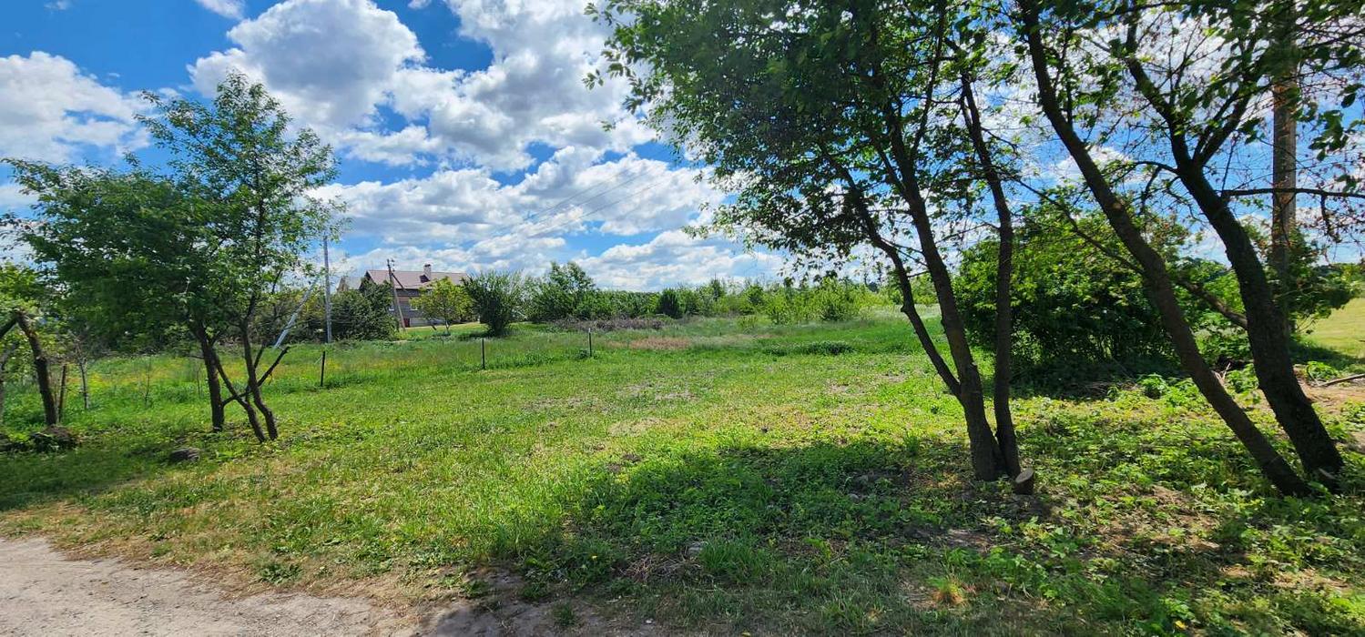Продаж земельної ділянки в с. Чишки, 25 сот photo 2