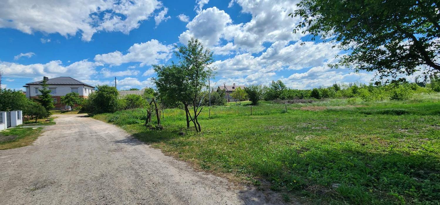 Продаж земельної ділянки в с. Чишки, 25 сот photo 5
