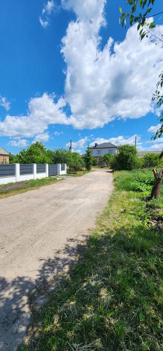 Продаж земельної ділянки в с. Чишки, 25 сот photo 8