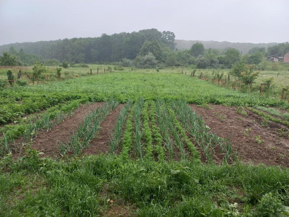 Продам будинок photo 2
