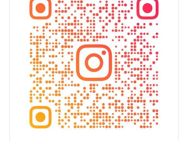 Терміново віддам безкоштовно буду для собаки фото