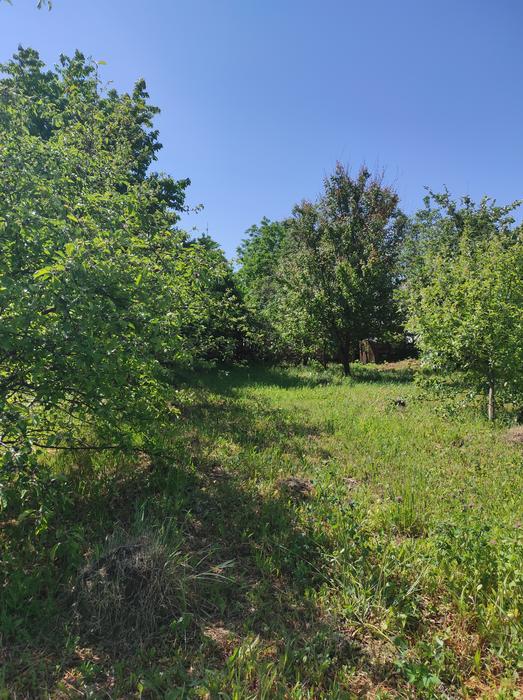 Продажам землі (обісця) photo 4