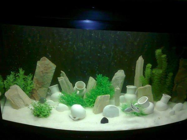 Обслуговування акваріумів photo