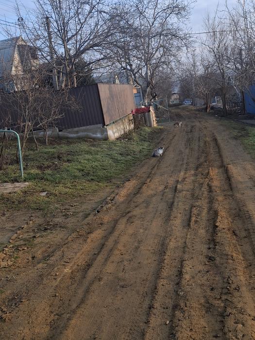 БУДИНОК - ДАЧА photo 6