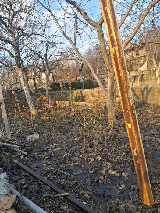 БУДИНОК - ДАЧА photo 12