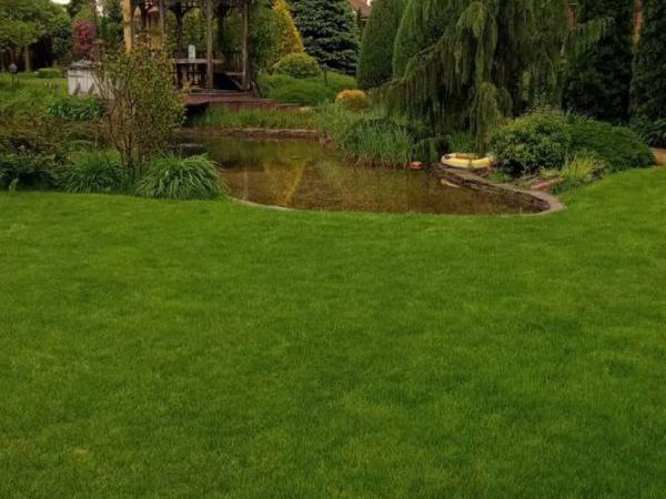 Выполняю услуги садовника фото